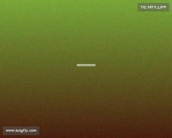 足球赛事足球、足球赛事集锦